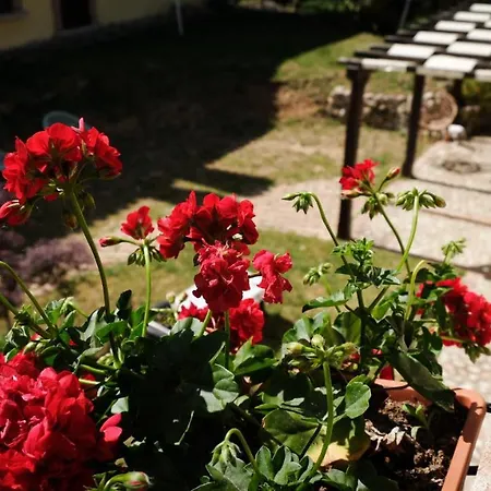 La Tana Del Riccio Bed & Breakfast *