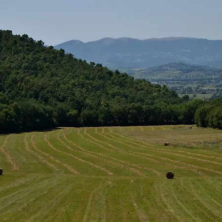 La Tana Del Riccio Bed & Breakfast Bazzano di Spoleto
