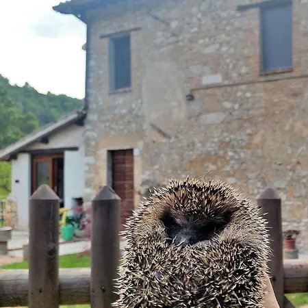 Bed & Breakfast La Tana Del Riccio