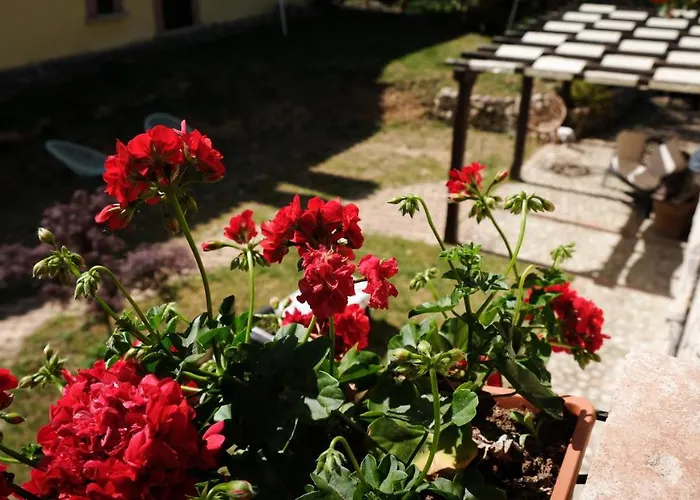 La Tana Del Riccio Bed & Breakfast *