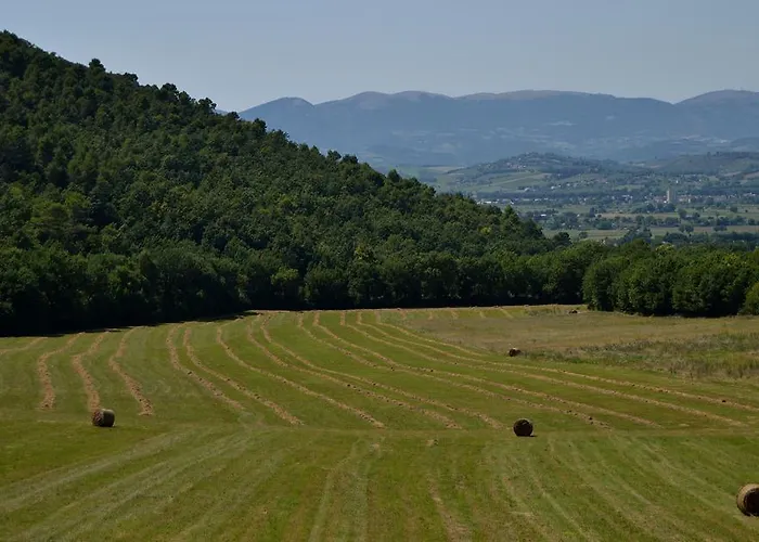 La Tana Del Riccio B&B Bazzano di Spoleto
