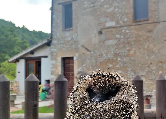 B&B La Tana Del Riccio