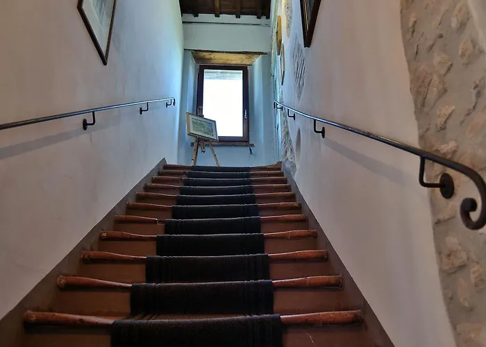 La Tana Del Riccio *